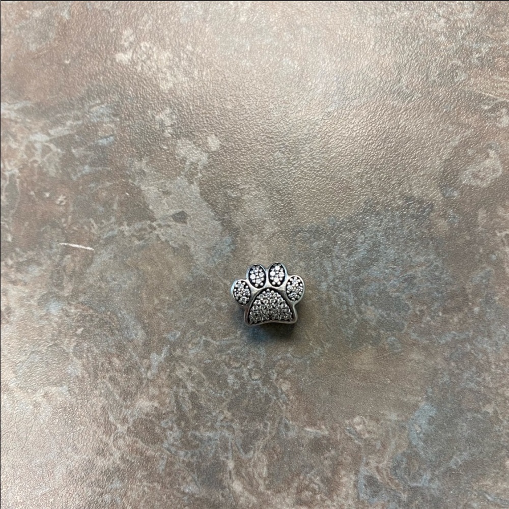 Pandora pet paw charm